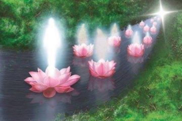 LES TRANSITIONS D’ÂME