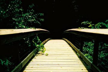 UNE NOUVELLE DIRECTION