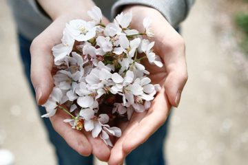 LA FONCTION DE LA GRATITUDE DANS NOTRE VIE