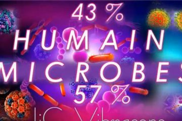 NOUS SOMMES PLUS MICROBE QU’HUMAIN… mais c’est une bonne nouvelle ! NOUS SOMMES PLUS MICROBE QU’HUMAIN… mais c’est une bonne nouvelle !