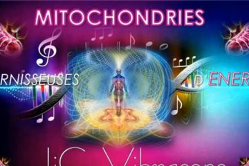 AIDE AUX MITOCHONDRIES AIDE AUX MITOCHONDRIES