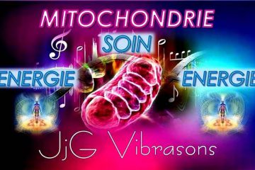SOIN MITOCHONDRIAL – BOOSTER & PRODUCTION D’ÉNERGIE SOIN MITOCHONDRIAL – BOOSTER & PRODUCTION D’ÉNERGIE