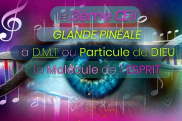 Glande Pinéale – DMT – Particule de DIEU – Molécule de l’Esprit Glande Pinéale – DMT – Particule de DIEU – Molécule de l’Esprit
