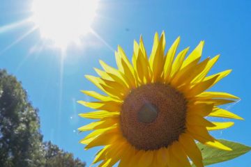 LE SOLSTICE D’ÉTÉ 2022, UN JOUR DE POUVOIR ET D’INITIATION