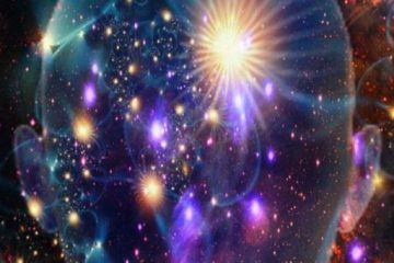 VOS ÂMES ONT SOUHAITÉ VIVRE CETTE TRANSITION VOS ÂMES ONT SOUHAITÉ VIVRE CETTE TRANSITION