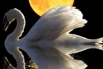 LA SUPER LUNE DU 13 JUILLET 2022 selon MAUD LA SUPER LUNE DU 13 JUILLET 2022 selon MAUD