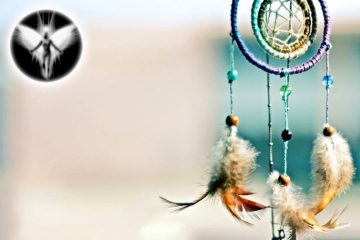 RÉALISER SES RÊVES GRÂCE À SA VIBRATION