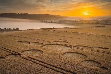 CROP CIRCLE DU 3 AOÛT 2022