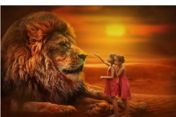 LE PORTAIL DES LIONS EST GRAND OUVERT… ET ALORS ?