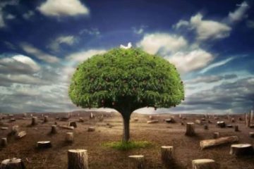 la PURIFICATION NÉCESSAIRE pour la TERRE et son HUMANITÉ