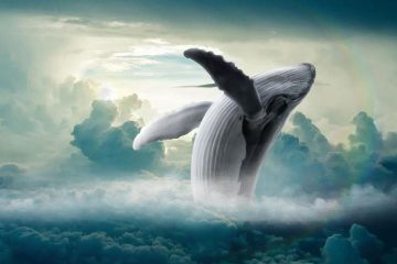 MESSAGE DES BALEINES
