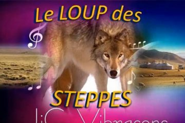 Le LOUP des STEPPES