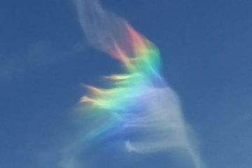 COMMENT LE VOILE VA SE LEVER / COMMENT L’HOLOGRAPHIQUE VA COMMENCER À ÊTRE VU PAR L’HUMANITÉ
