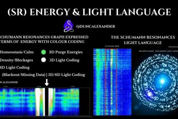 SCHUMANN RESONANCE BLACKOUT