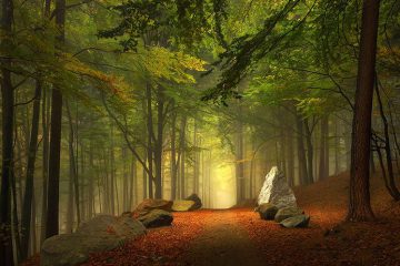 LE TOURNANT, LES CYCLES ET LES SIGNES