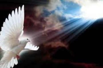 NOUS SOMMES ISSUS DE L’AMOUR