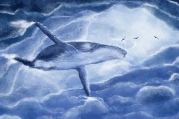 Message des baleines à bosse : LA FIN D’UNE SAISON POUR UN NOUVEAU COMMENCEMENT