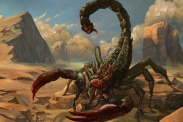 BIENVENUE DANS LE ROYAUME DU MYSTÈRE !