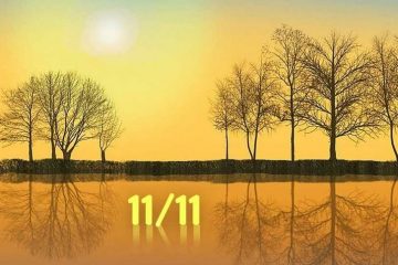LES ÉNERGIES DU 11 NOVEMBRE (11/11/22)