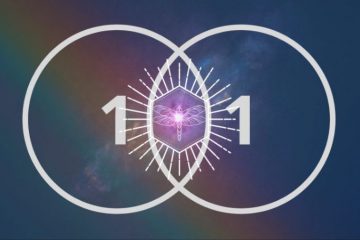 LA NUMÉROLOGIE DE NOVEMBRE 11/11