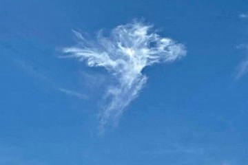 LES ESPRITS DE L’AIR