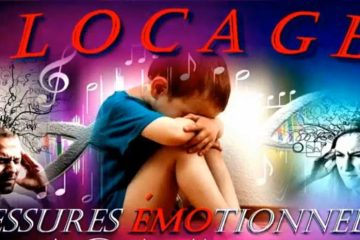 COMPRENDRE SES BLOCAGES, SOIGNER SES BLESSURES COMPRENDRE SES BLOCAGES, SOIGNER SES BLESSURES