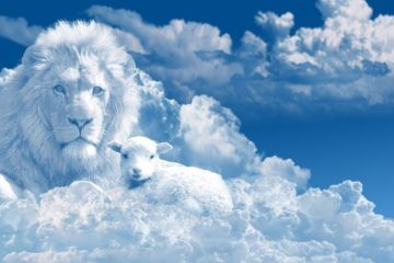 COMMENT TRANSMUTER LES ÉNERGIES QUI NE SONT PAS EN ACCORD AVEC SA DIVINE PRÉSENCE ?