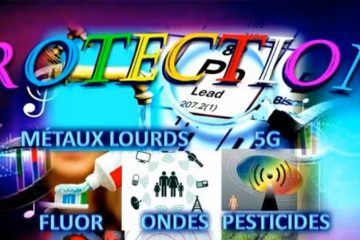 Base essentielle de protection OFFERTE avec toute commande à -50% en Décembre Base essentielle de protection OFFERTE avec toute commande à -50% en Décembre