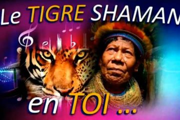 TIGRE SHAMAN – FORCE DE GUÉRISON SPIRITUELLE