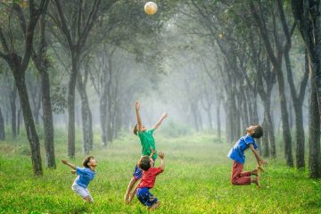 CE SONT LES SEULES FAÇONS DE VIVRE SUR TERRE CE SONT LES SEULES FAÇONS DE VIVRE SUR TERRE