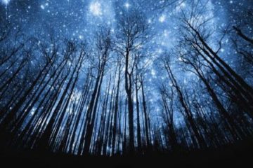 LE PASSAGE DU SOLSTICE 2022