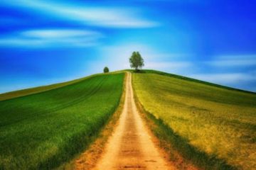 LE CHEMIN DE VIE