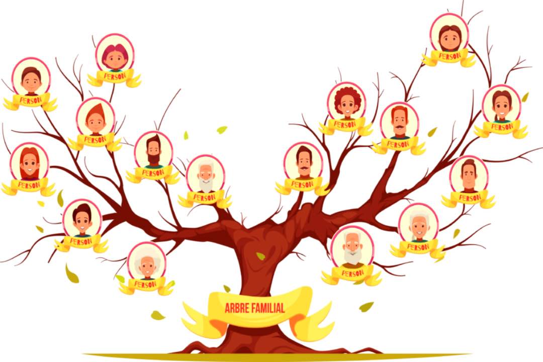LES CONSTELLATIONS FAMILIALES AU SERVICE DE L’ÂME LES CONSTELLATIONS FAMILIALES AU SERVICE DE L’ÂME