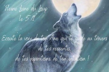 PLEINE LUNE DU 6 & 7 JANVIER 2023