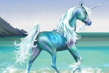 CHAQUE SCÉNARIO A ÉTÉ CHOISI PAR VOTRE ÂME