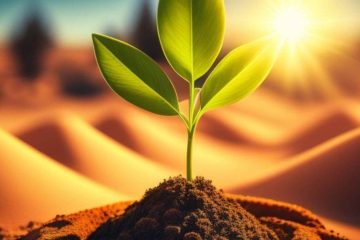 TENDANCES ÉNERGÉTIQUES POUR LE MOIS DE MARS 2023