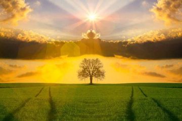 EN VOTRE COEUR S’ENRACINE L’ARBRE DE LA CONNAISSANCE INTUITIVE