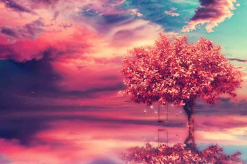 LES HISTOIRES QUI NOUS NOURRISSENT