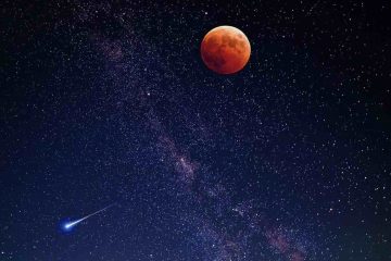 ÉCLIPSE – MISE À JOUR DU PORTAIL – DEVENIR UN ÊTRE UNIVERSEL ÉCLIPSE – MISE À JOUR DU PORTAIL – DEVENIR UN ÊTRE UNIVERSEL