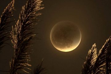 L’ÉCLIPSE LUNAIRE DU 5 MAI 2023 L’ÉCLIPSE LUNAIRE DU 5 MAI 2023