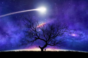 EXPÉRIMENTER L’UNIVERS DU DEDANS EXPÉRIMENTER L’UNIVERS DU DEDANS