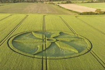 ANGLETERRE NOUVEAU CROP CIRCLE