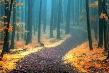 VOTRE ÂME SAIT VRAIMENT OU ELLE VEUT VOUS EMMENER VOTRE ÂME SAIT VRAIMENT OU ELLE VEUT VOUS EMMENER