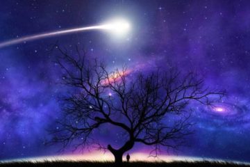 L’UNIVERS VÉCU DU DEDANS (vidéo)