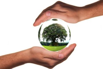 TENDANCE ÉNERGÉTIQUE POUR LE MOIS DE JUILLET 2023 TENDANCE ÉNERGÉTIQUE POUR LE MOIS DE JUILLET 2023