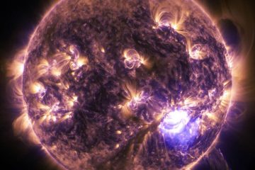 RADIOACTIVITÉ et RAYONNEMENTS GAMMA sur l’homme RADIOACTIVITÉ et RAYONNEMENTS GAMMA sur l’homme