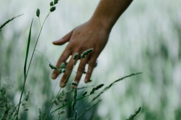 LA NATURE EST AVEC VOUS ! LA NATURE EST AVEC VOUS !