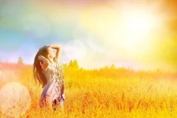QUEL SERAIT LE CHEMIN LE PLUS RAPIDE VERS LA LIBERTÉ ? QUEL SERAIT LE CHEMIN LE PLUS RAPIDE VERS LA LIBERTÉ ?