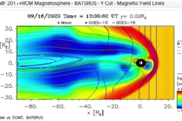 PAGAILLE DANS LE CHAMP MAGNÉTIQUE TERRESTRE PAGAILLE DANS LE CHAMP MAGNÉTIQUE TERRESTRE