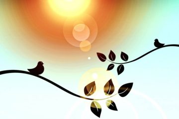 TOUT CE QUE VOUS DEVEZ SAVOIR SUR LA VIE SUR TERRE EN CE MOMENT